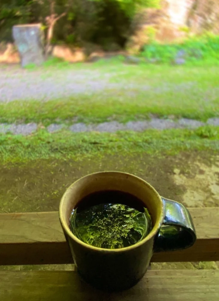 三日月珈琲焙煎所 月鐘楼の庭を映すコーヒーカップ